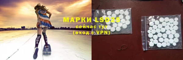 СК Зерноград
