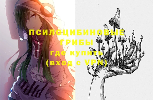 СК Зерноград